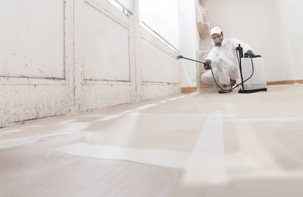 24/7 Emergency Mold Remediation experts in Warren, IL