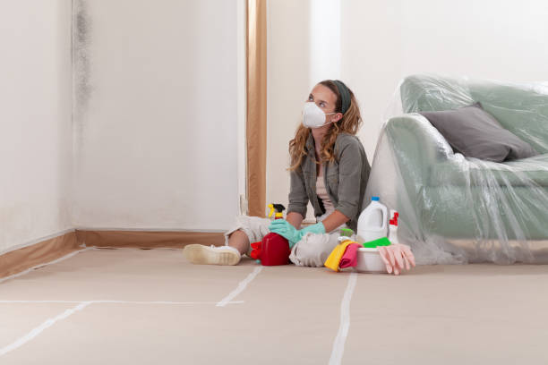 Reliable Mold Remediation contractor in Warren, IL by 24 Hour Mold Removal